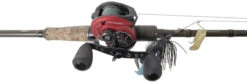 Abu Garcia Adrian Avenas Fantasista Premier / REVO4 Rocket LH Buzzbait Combo