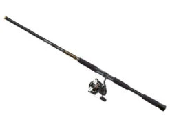 Daiwa BG Saltwater Spinning Combos