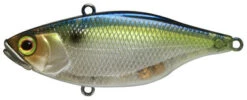 Jackall TN-70 Lipless Crankbait - SG Threadfin Shad