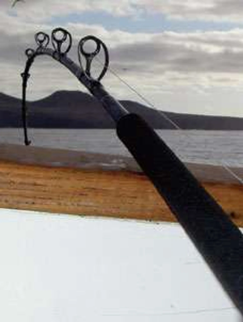 Phenix PHD838MH Deck Hand Black Diamond Hybrid Offshore Rod - Image 3