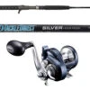 TackleDirect TDSCJ661H Silver Hook/Shimano TOR14HGA Torium Combo