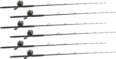 TackleDirect Silver Hook / Shimano TLD TLD30IIA White Marlin Package W/ 6 Combos