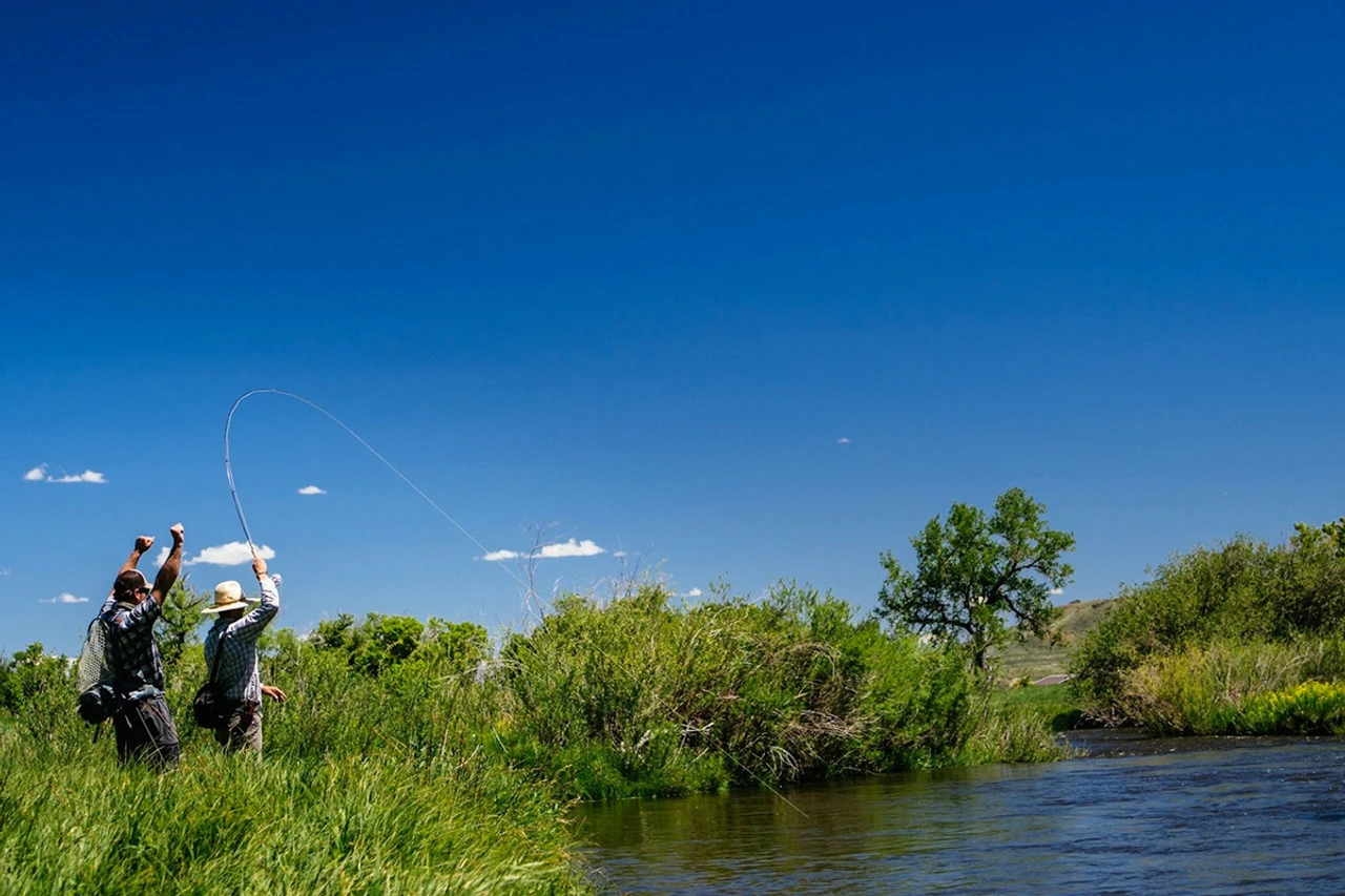 Thomas & Thomas Lotic Series Fly Rods - Image 3