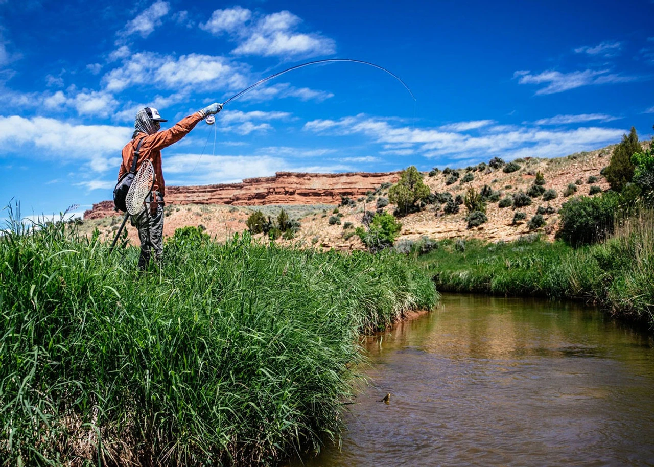 Thomas & Thomas Lotic Series Fly Rods - Image 4