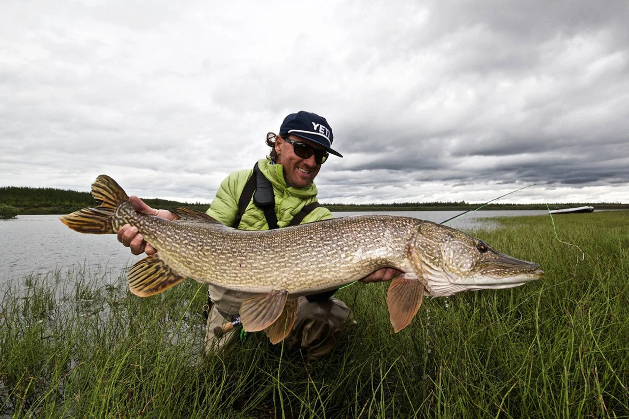 Thomas & Thomas Exocett Predator Fly Rod - 9 Ft. 4 In. - 45 Grain - Image 4