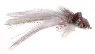 Umpqua Swimming Baitfish